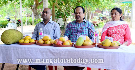 Jackfruit fest 1